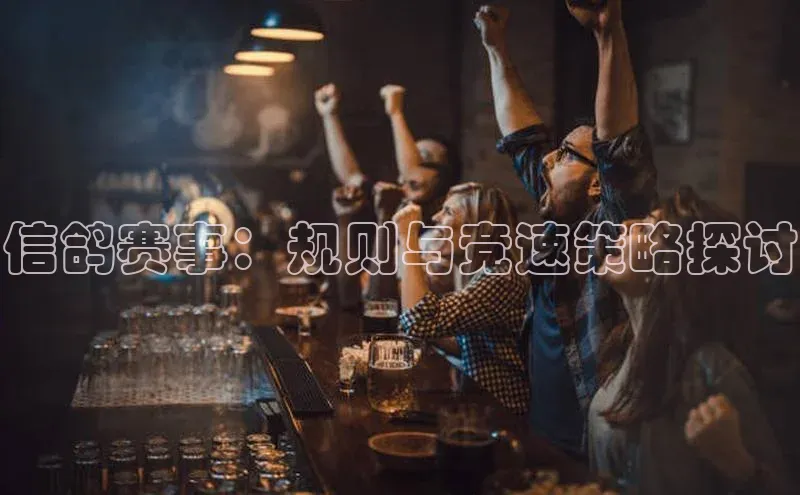 信鸽赛事：规则与竞速策略探讨