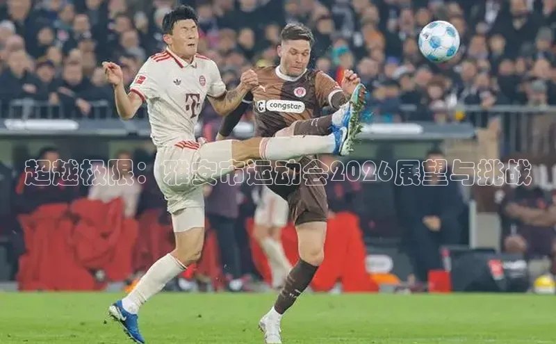 超越极限：雅安市运动会2026展望与挑战